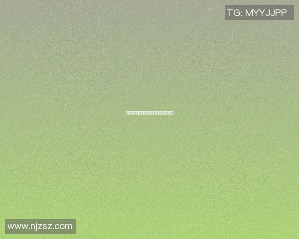 摩洛哥与伊朗实时对决胜负动态更新与分析