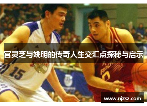 宫灵芝与姚明的传奇人生交汇点探秘与启示