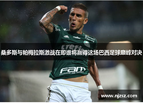 桑多斯与帕梅拉斯激战在即谁将赢得这场巴西足球巅峰对决